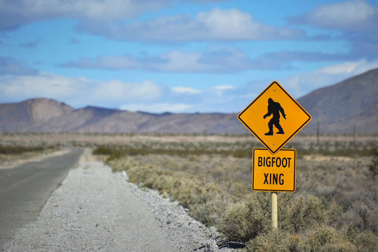 Big Foot
